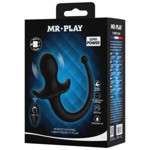 Vibrating Butt Plug